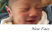 New Face
